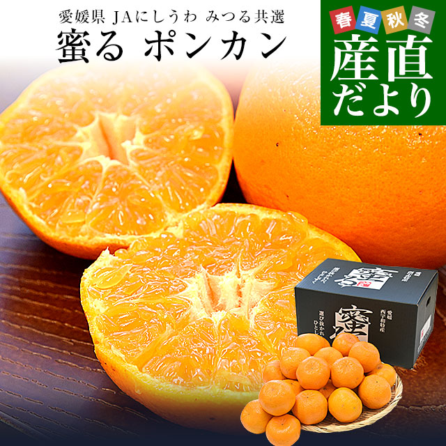 楽天市場】愛媛県産 JAにしうわ みつる共選 蜜る(みつる) ポンカン 2L