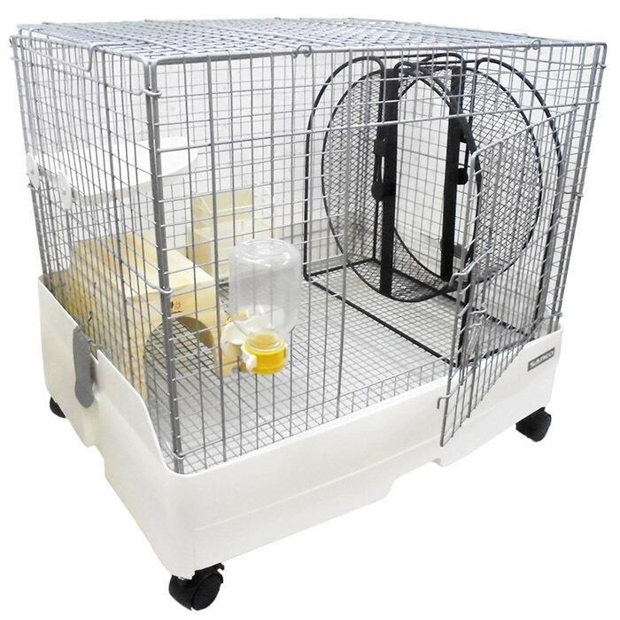 楽天市場】『 チンチラ飼育セットB 〜お手軽コース〜 』 イージー