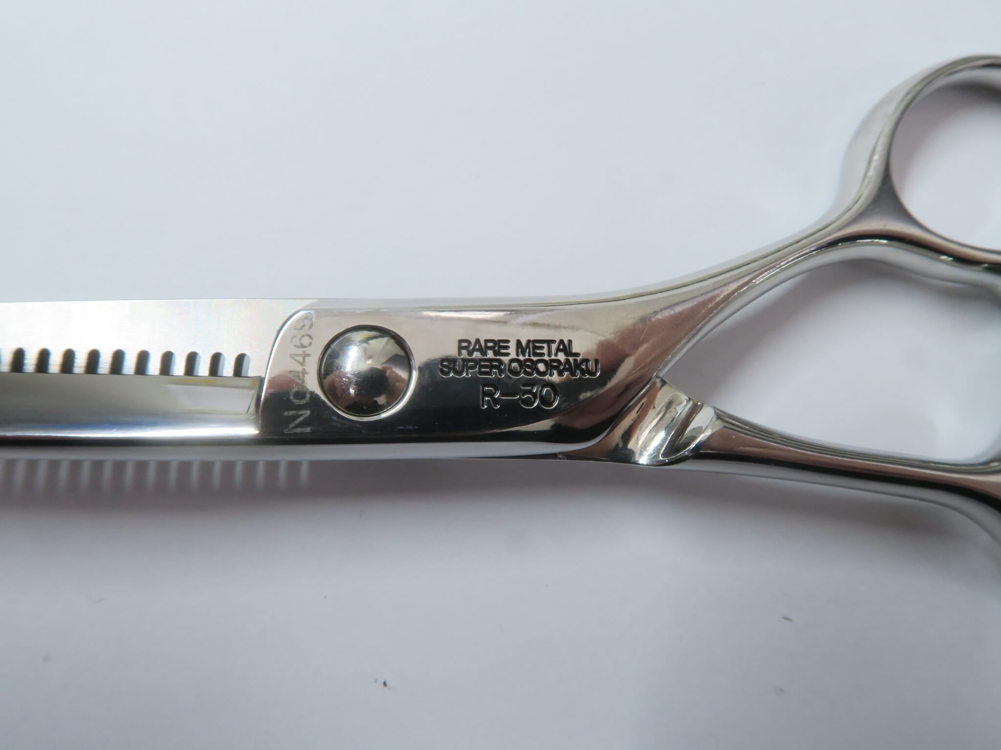 楽天市場】Bランク【タマコーシザース】 スーパーおそらく SUPER