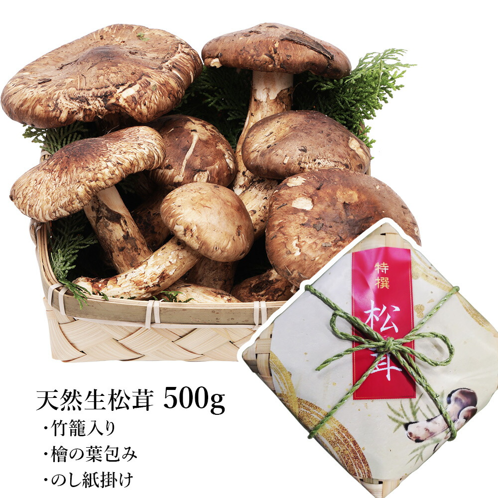 楽天市場】＼シーズン終了／ 中国産 松茸 生松茸 特選 250g / 500g