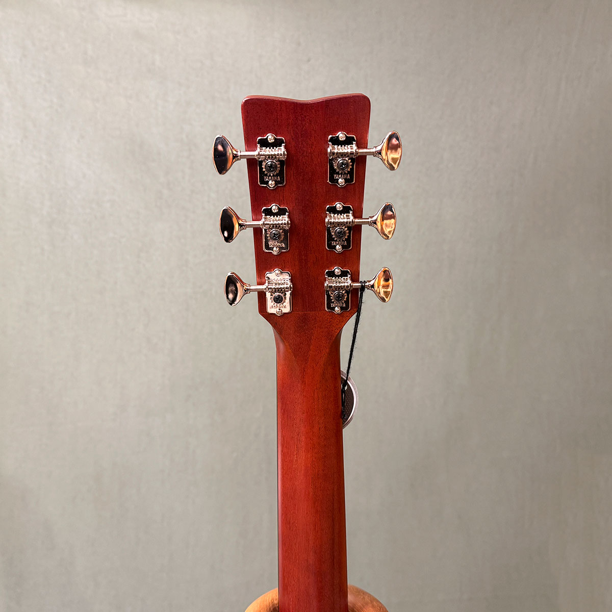 楽天市場】【新品】ヤマハ FG5 Gross レッドラベルシリーズ YAMAHA FG5