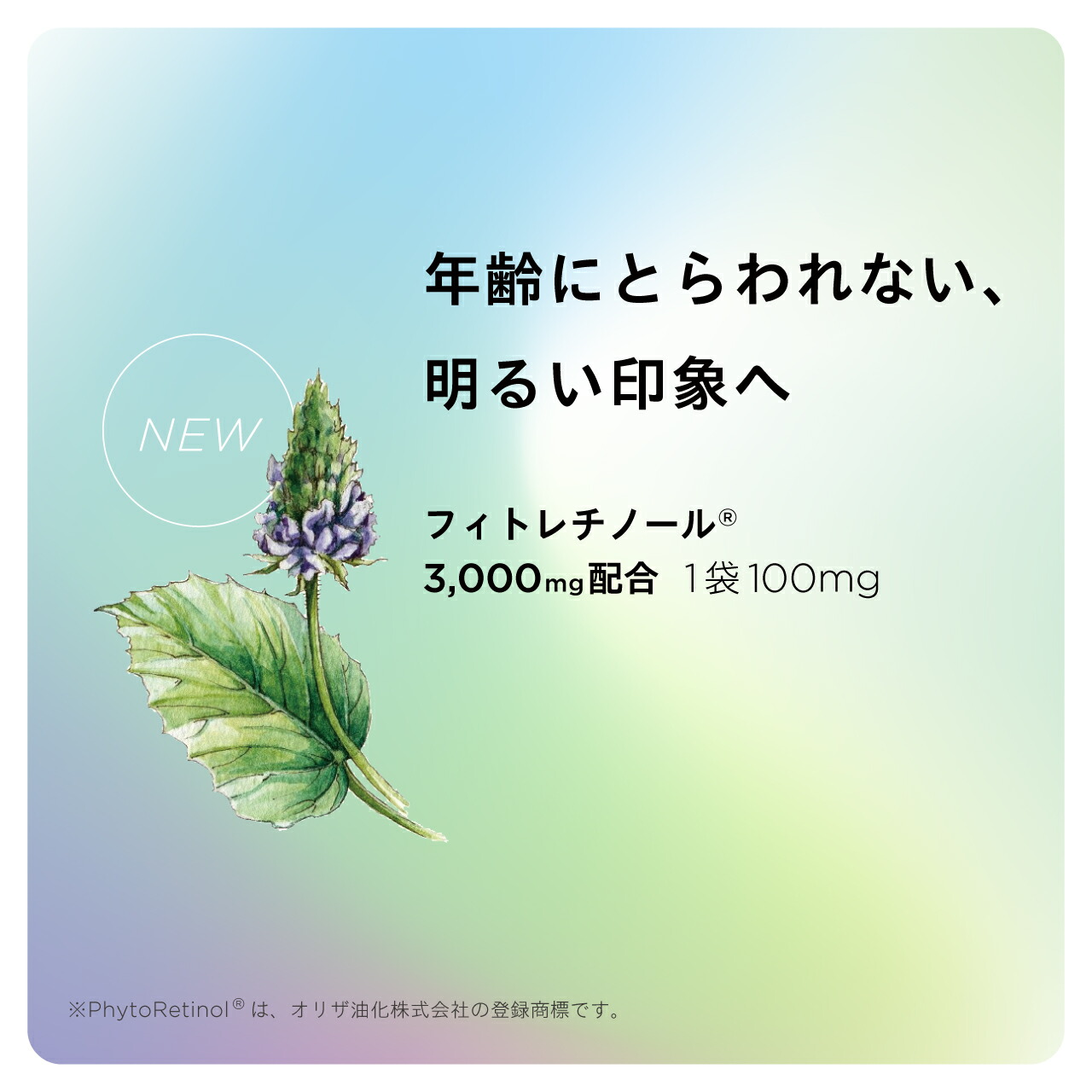 楽天市場】シンプリス ウルトラVプロ ニュートロックスサン 日傘サプリ