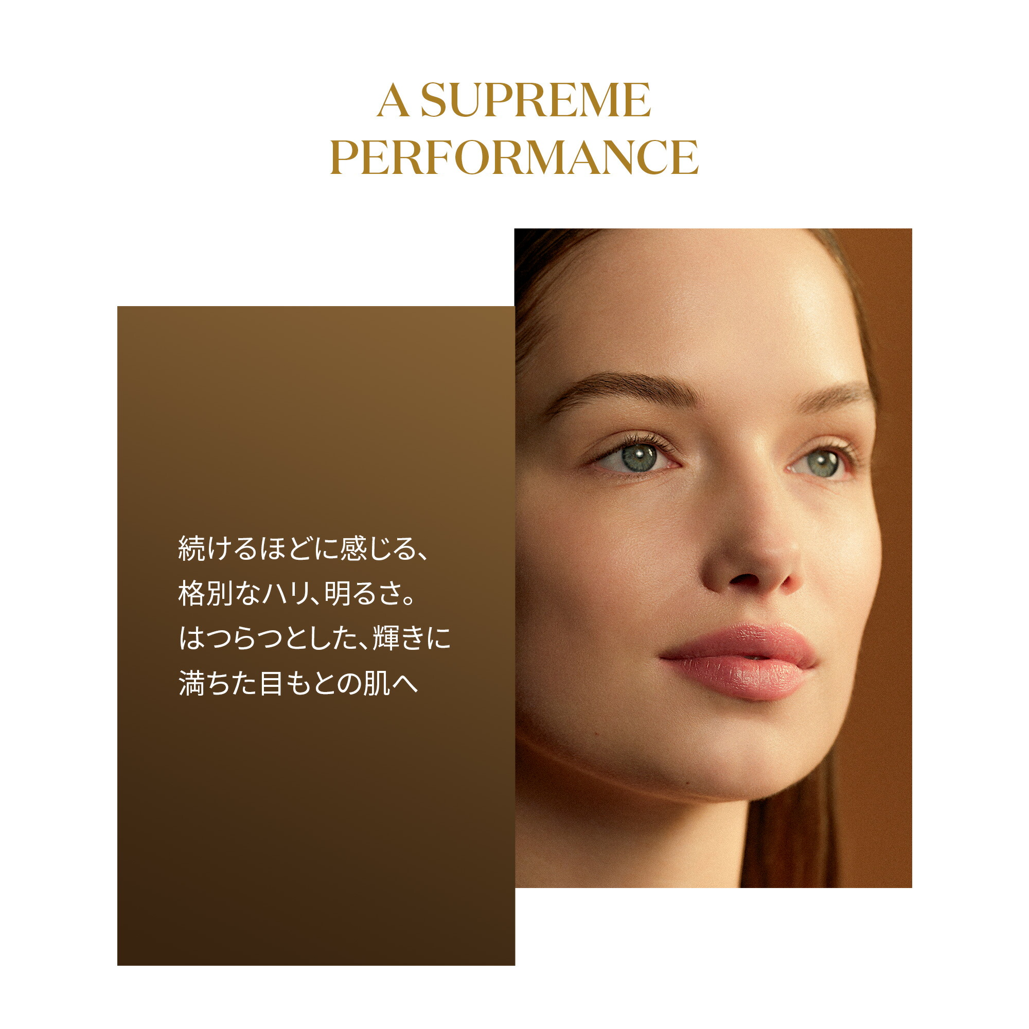 楽天市場】【公式】 シスレー スプレミヤ アイ クリーム 15 mL