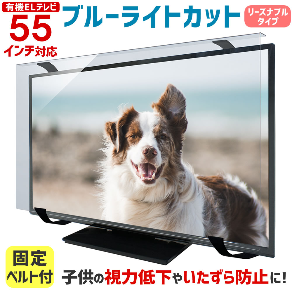 楽天市場】ブルーライトカット 有機ELテレビ保護パネル 55インチ 55型