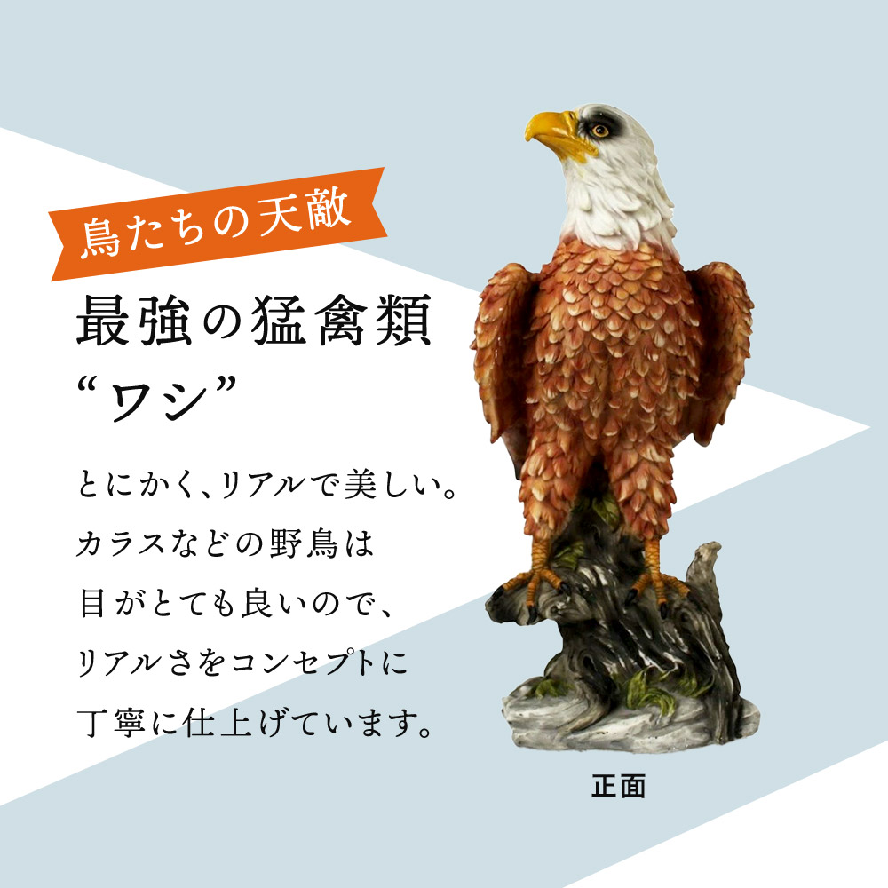 楽天市場】鳥獣駆除 鳥よけ 鷹 ミスターイーグル 鳥よけグッズ 鳥除け