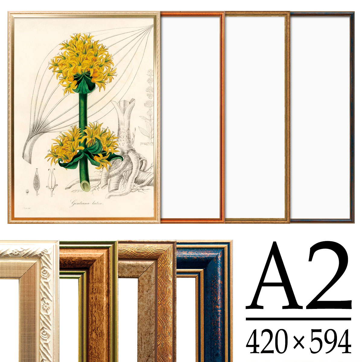 楽天市場】アンティーク調 ポスターフレーム A2 シャンパンゴールド