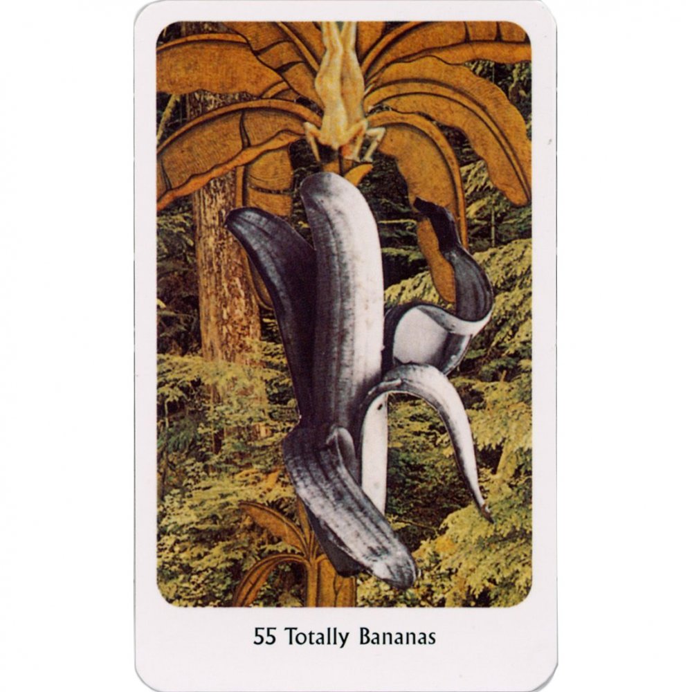 楽天市場】【オラクルカード】 【正規販売店】 タントリック ダキニ