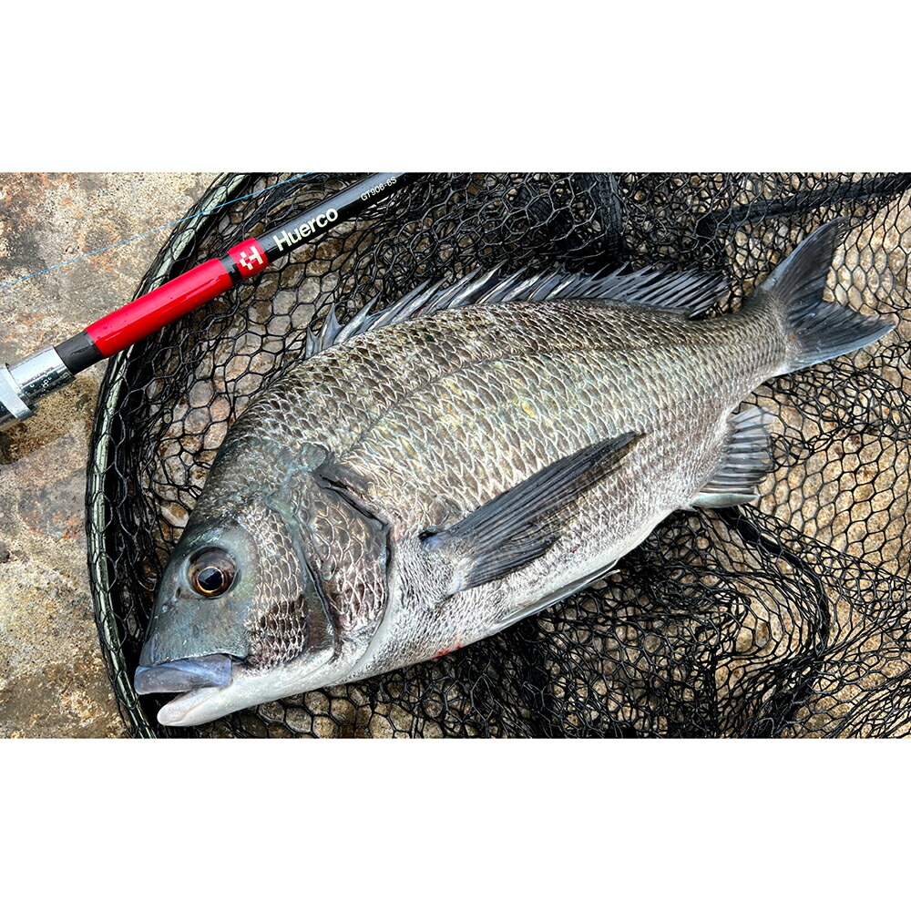 楽天市場】フエルコ GT906-6S【スピニングモデル / 6pcs】（Huerco