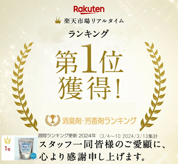楽天市場】消臭 除菌 無香料 無臭 消臭王GT-S 液体 無臭 500ml 嫌な