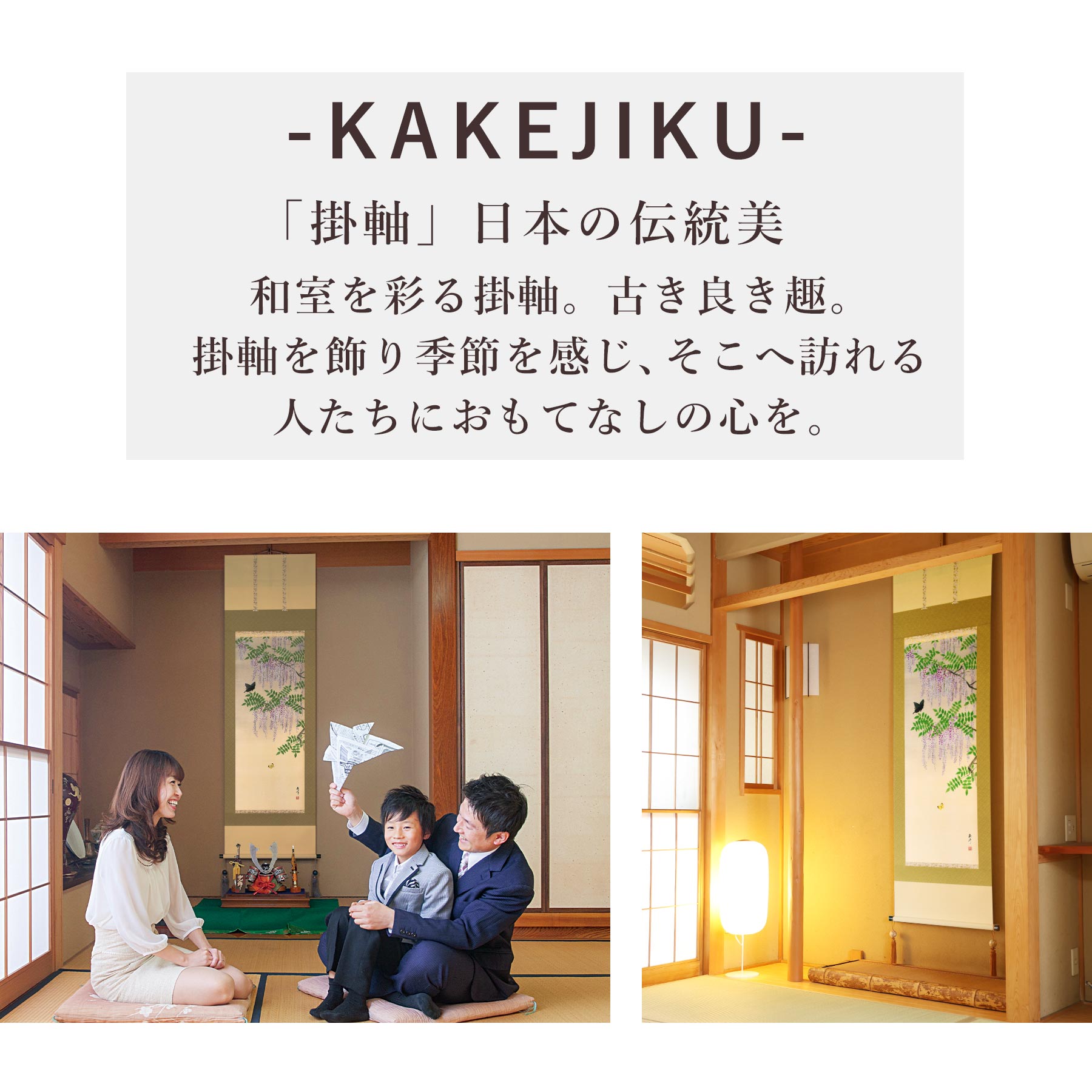 楽天市場】掛け軸「藤に蝶」 富岡蘇峰 尺五立 サイズ：54.5×190cm 桐箱