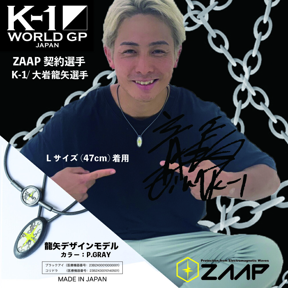 楽天市場】【公式】健康機器 ネックレスZAAP Slico×K1・大岩龍矢 PG