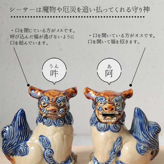 楽天市場】【3/4 開始6H限定 最大2000円OFFクーポン】沖縄 壷屋焼