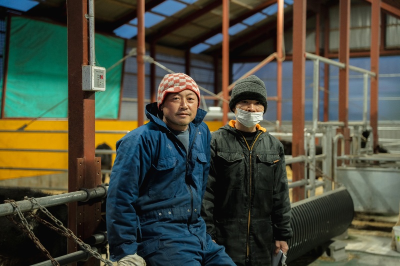 体験記】牛の個性をもっと知りたくなった農場体験【山田農場】 – つつ