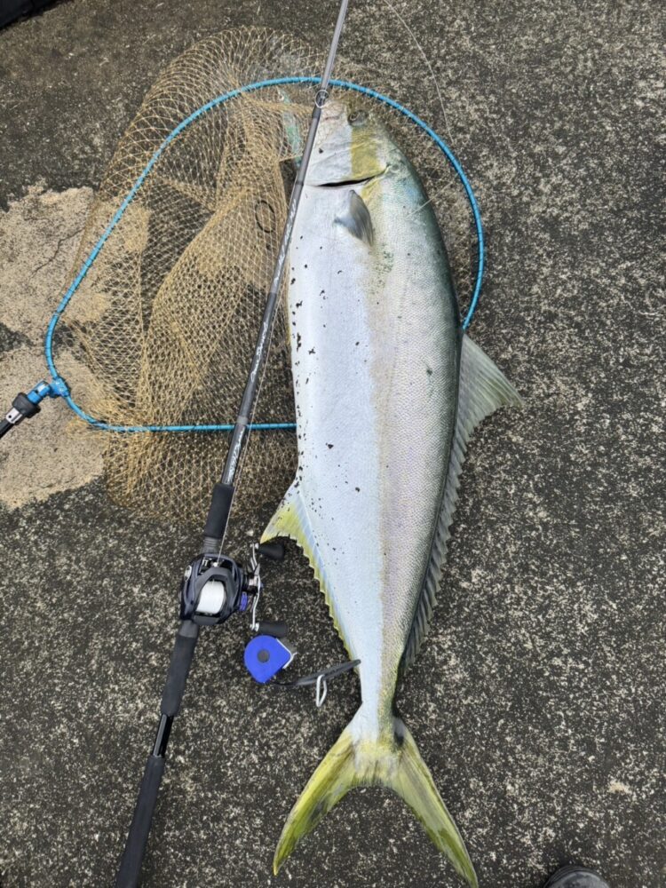 東京都 桟橋ベイトヒラマサキャスティング (OceanSprinter844 Bait