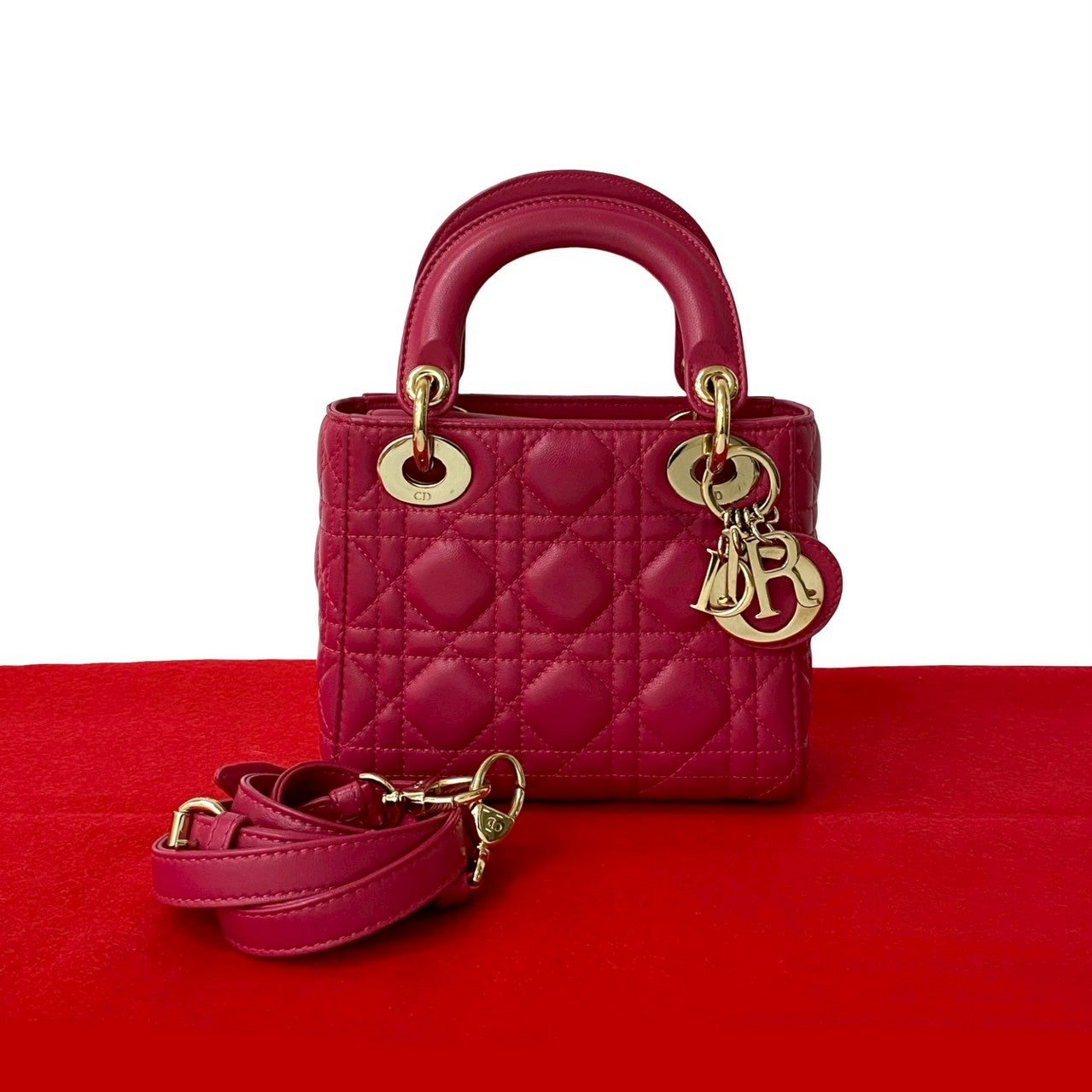 Christian Dior レディディオール – Trip