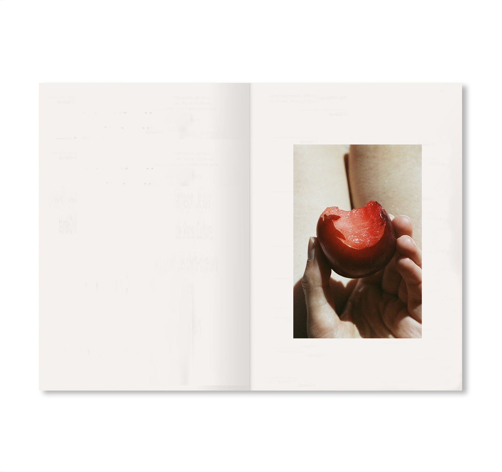 MY PHOTO BOOKS by Lina Scheynius – twelvebooks