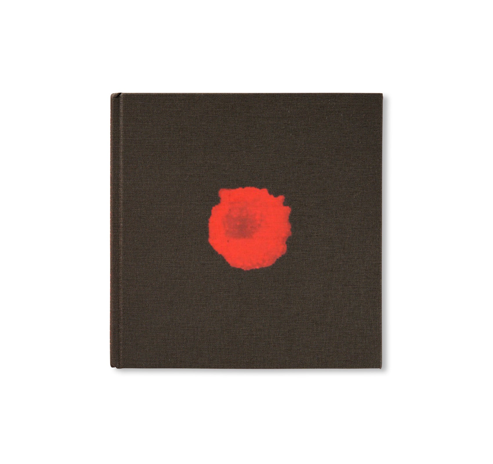 ARCHAEOLOGY IN REVERSE by Stephen Gill – twelvebooks