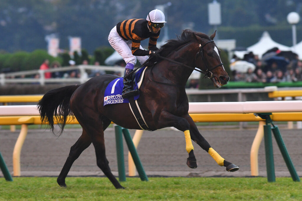 まつりの日、まっすぐな心で。 - 2016年ジャパンカップ・キタサン