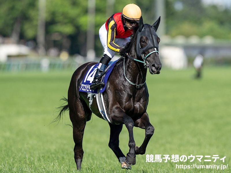 ヴィクトリアマイル2025】勝ち馬予想の金言録「ヴィクトリアマイルは2