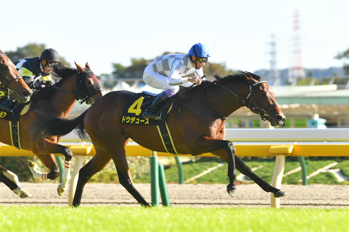 アイビーS】武豊ドウデュースが力強く抜け出し無傷2連勝！｜競馬