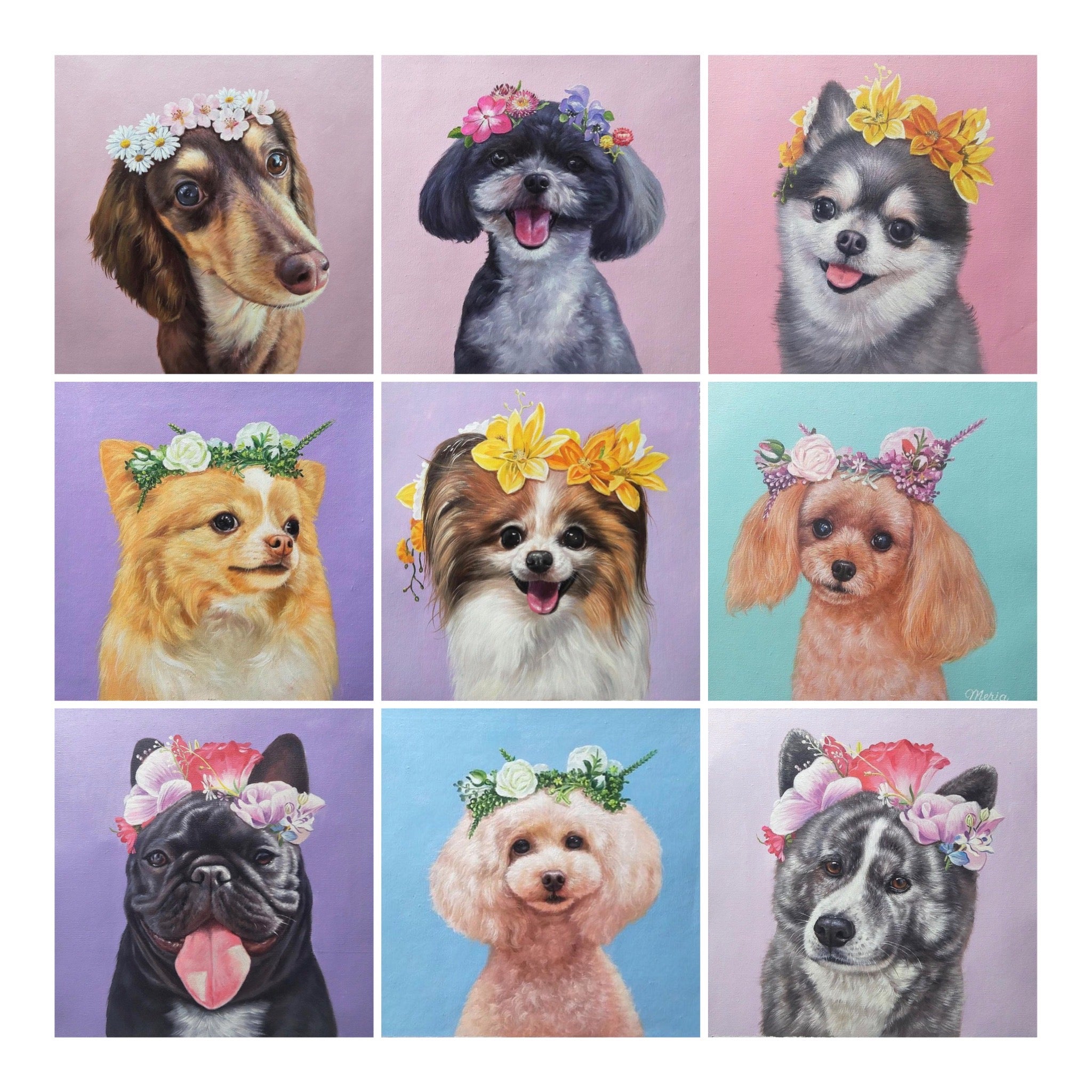 海外犬服 高品質なインポートのドッグウェア通販【draw pet】my pet