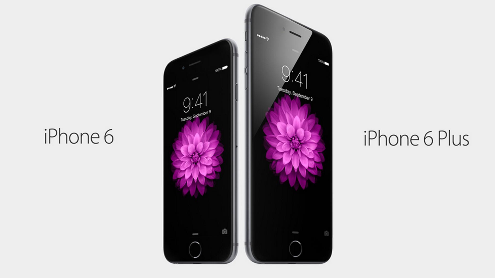 Apple iPhone 6 Revealed: Meet the Larger iPhone 6 and iPhone 6 Plus