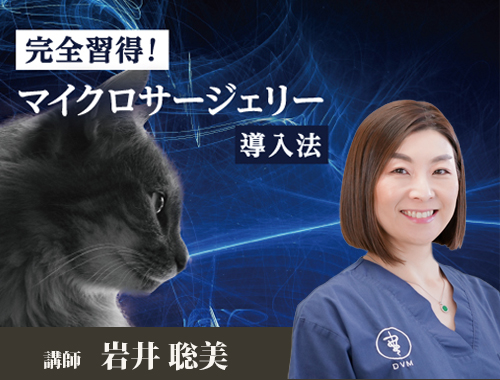 完全習得！マイクロサージェリー導入法|VetMovie 獣医師向け映像教材配信