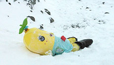 ふなっしーの南極大冒険！』DVD 2015.10.21 発売｜ポニーキャニオン