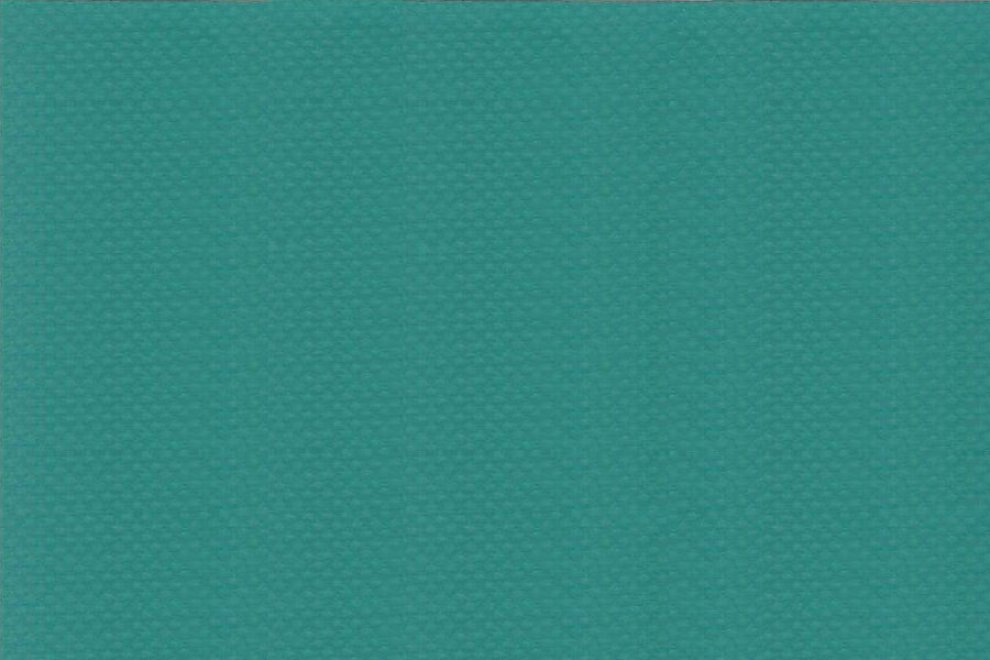 ワンナップカラーターポリン1類 0.5mm ターポリン（VB-050TP）切り売り