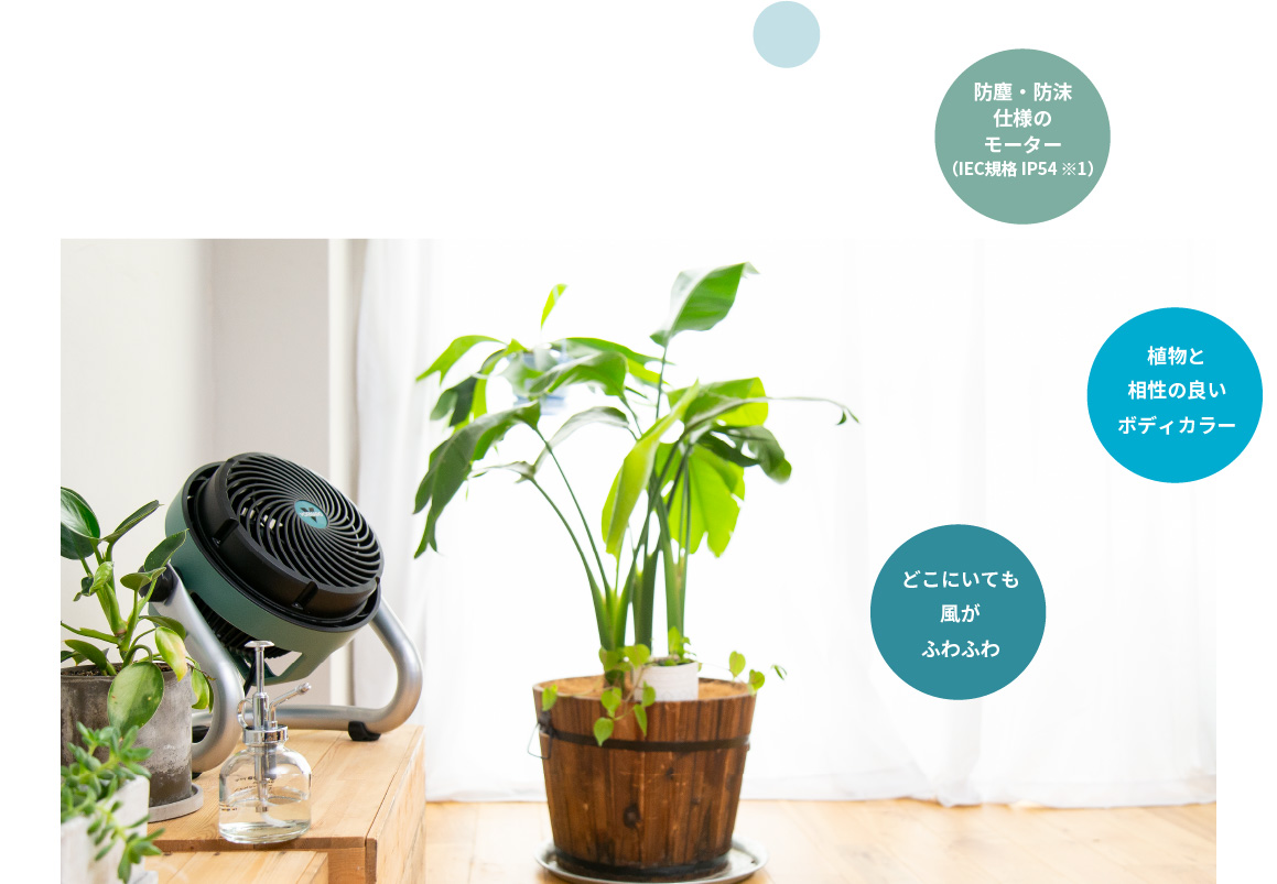 EXO51-JP - VORNADO - ボルネード公式サイト