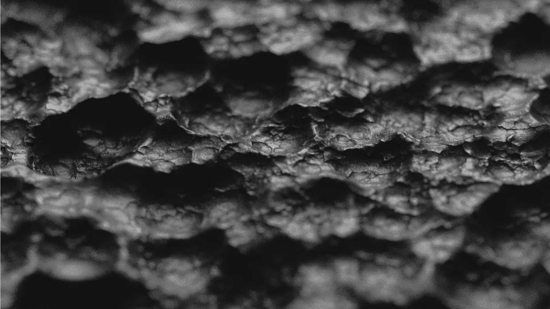 CR-005（ブラック） | WALLHACK