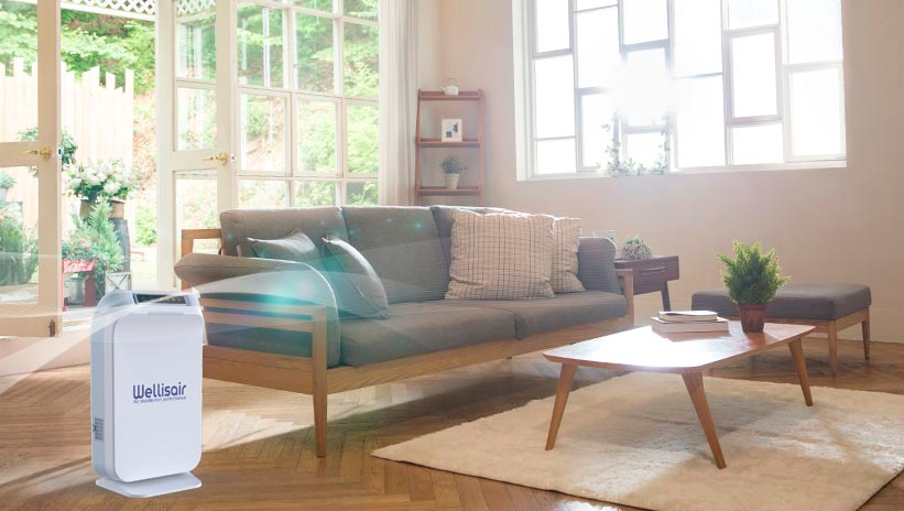 Purificador de aire Wellisair WADU-02