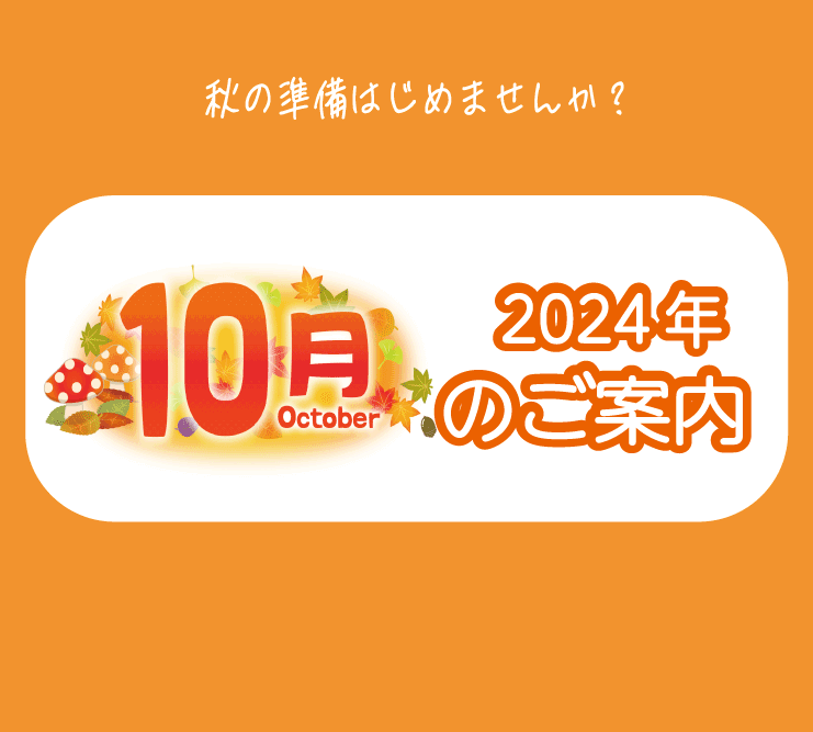 東京】2024年10月セールのご案内 | クリーニングのホワイト急便 | 札幌
