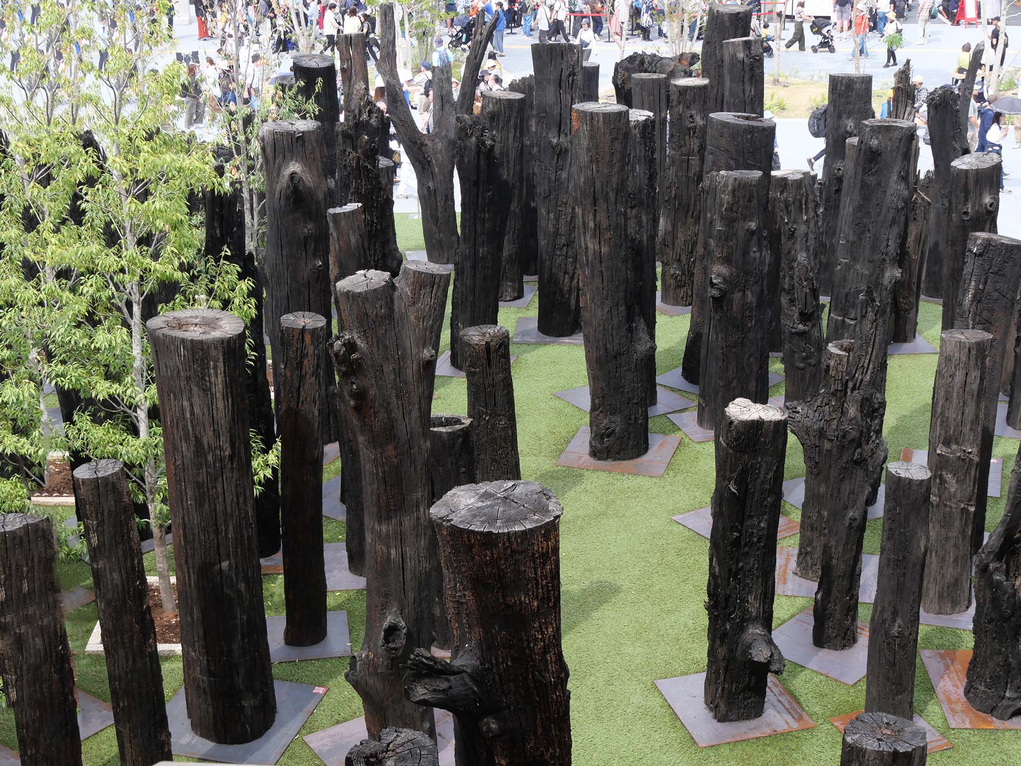 文明の森|2025年大阪・関西万博|日本万国博覧会と木のかかわり|12.木の