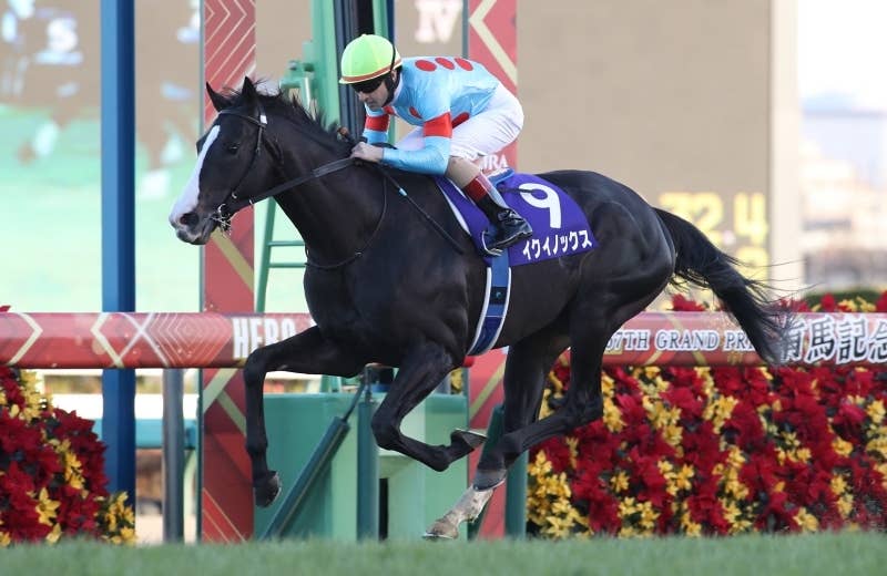 イクイノックス（Equinox） | 競馬データベース | JRA-VAN World