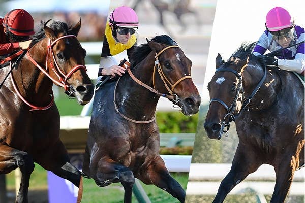 ドーヴィル（Deauville） | 競馬データベース | JRA-VAN World - 海外