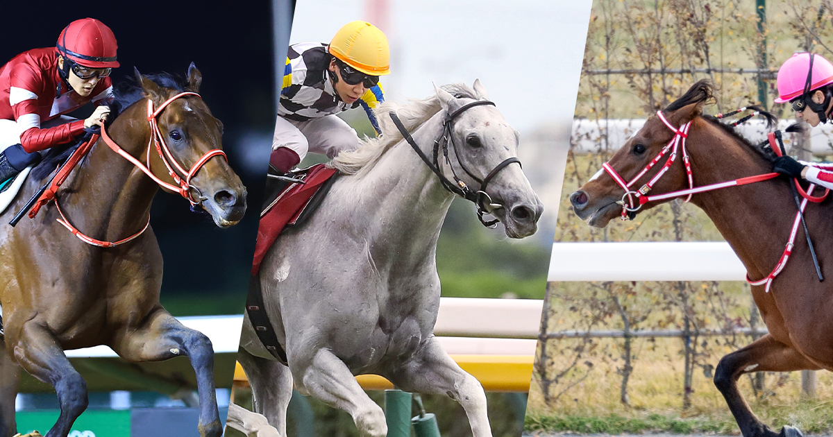 超貴重#ドバイワールドカップ#競馬#サウジアラビア#競争馬#世界一#最終