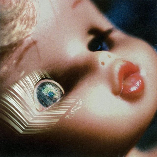 Plastic Tree / プラスティック トゥリー「Hide and Seek」 | Warner