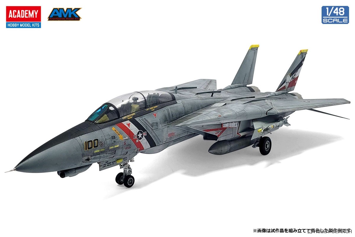 F-14D スーパートムキャット `VF-2 バウンティハンターズ` (プラモデル