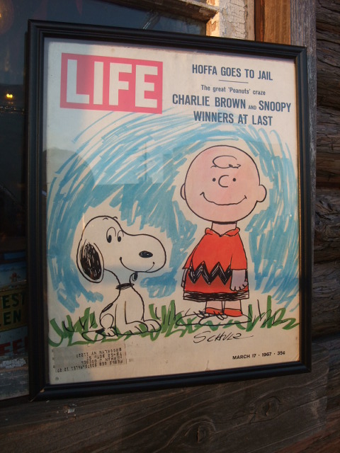 60s SNOOPY / LIFE MAGAZINE (AC-1011) - 2000toys Antique Mall