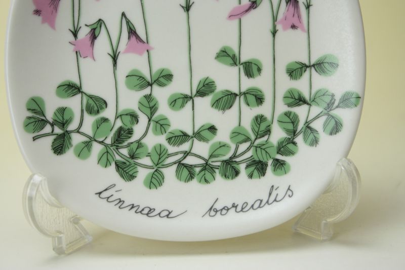 ARABIA ボタニカ エストリ トムラ プレートx2