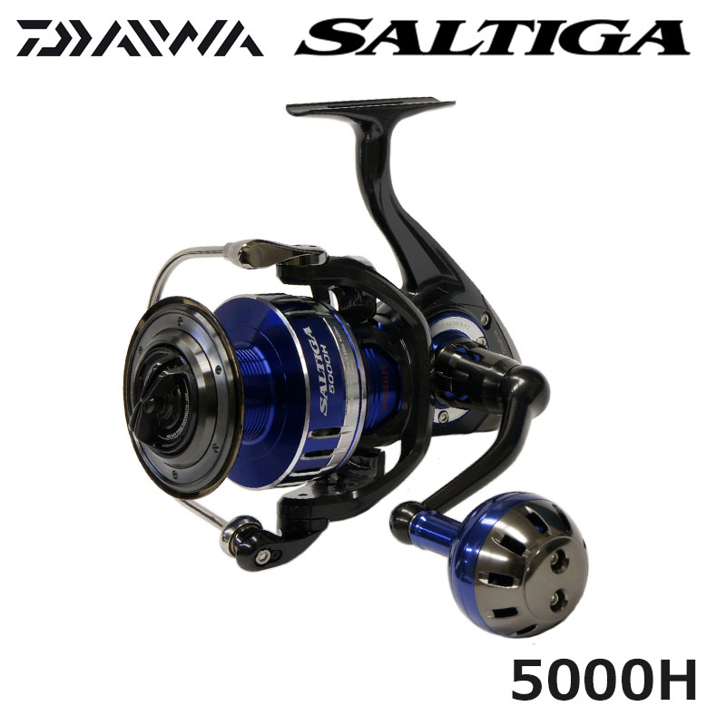 ダイワ(DAIWA) 15ソルティガ 5000H ☆特別割引品(お取り寄せ商品