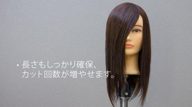 D-Type カットウィッグ Cut練タイプ (人毛/人工毛) | Cutwig.jp | 人毛