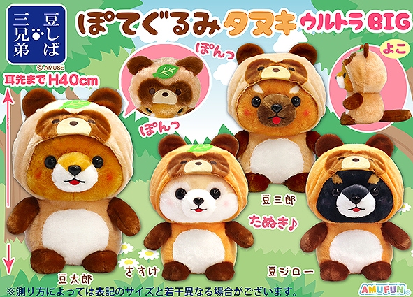 ≪9月の新商品≫豆しば三兄弟ぽてぐるみタヌキ-NEW ITEM！｜アミューズ