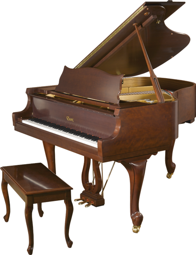 Amro Music: Essex EGP-155 5' 1