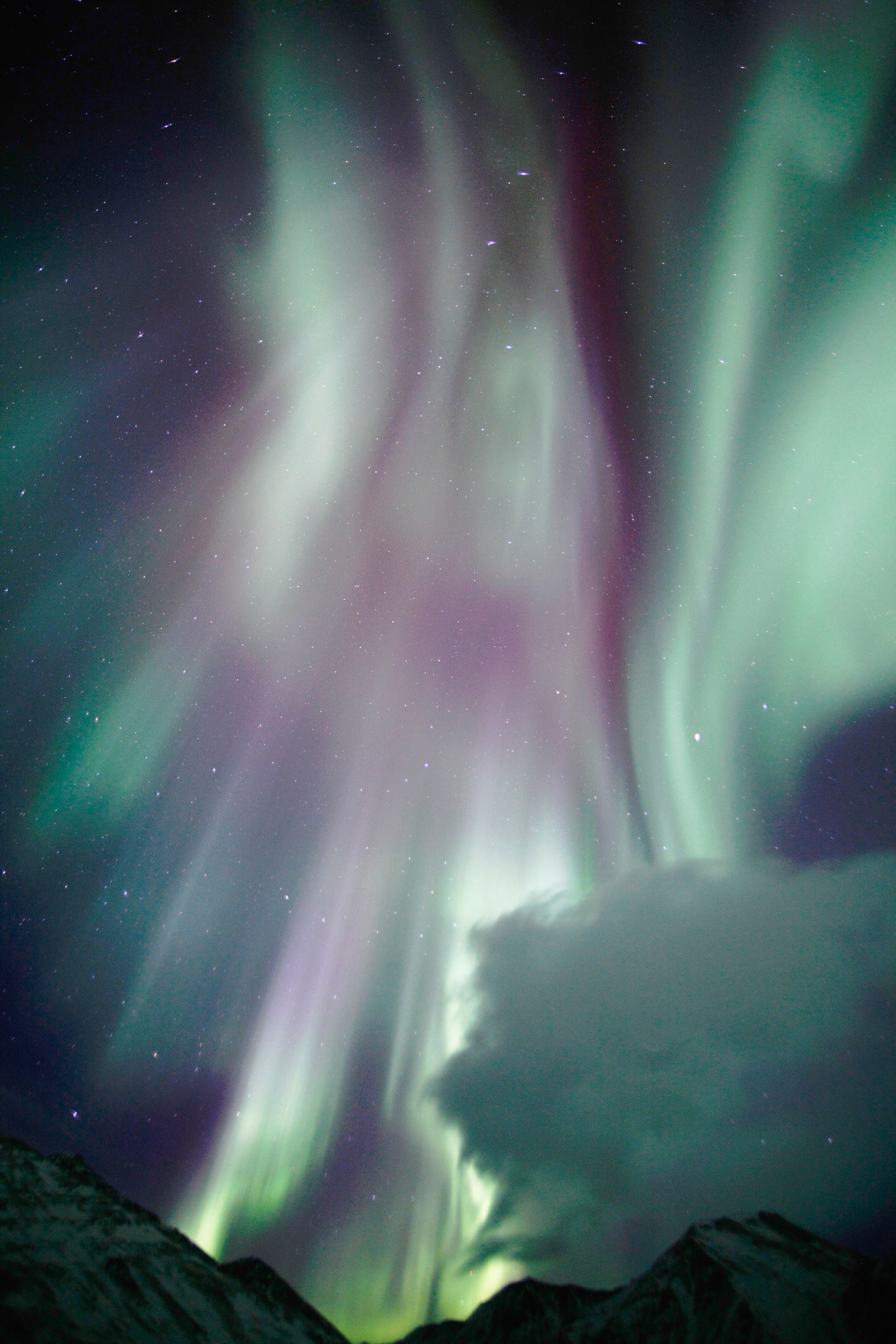 雪山に舞う光の不死鳥 アラスカのオーロラ報告