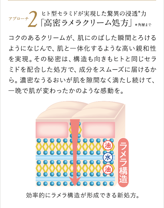 インナーエフェクター| アテニア公式オンラインショップ | 上質を