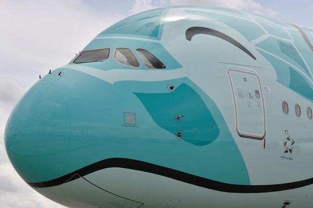 ほほえむウミガメ、まもなく就航 写真特集・ANA A380深緑の2号機成田到着