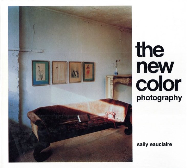 the new color photography / Sally Eauclaire | 小宮山書店 KOMIYAMA