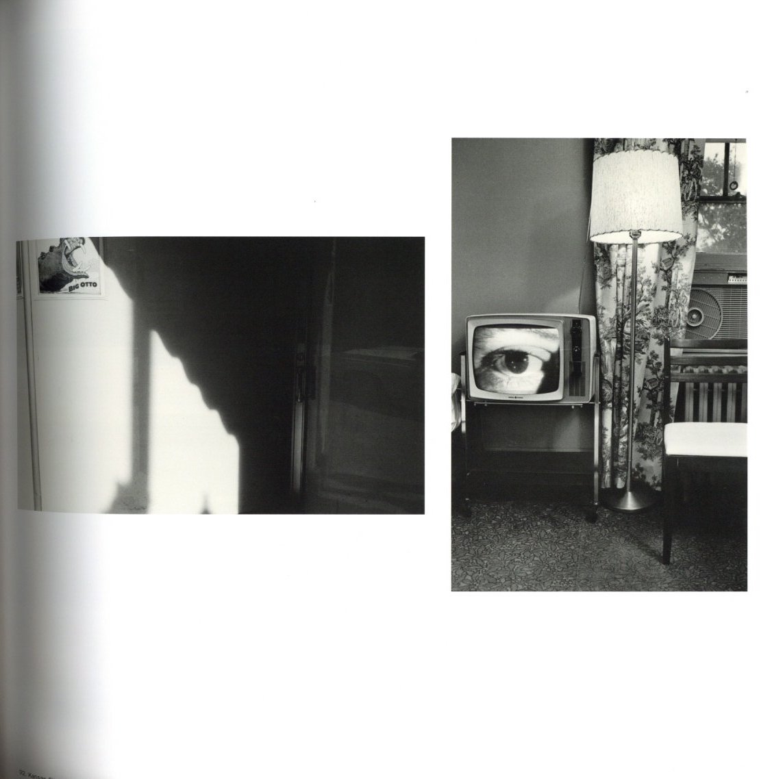 Friedlander: THE MUSEUM OF MODERN ART / Photo:Lee Friedlander Text